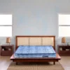 Ortho Care Mattresses